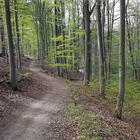 Appartement Mueller Bestwig