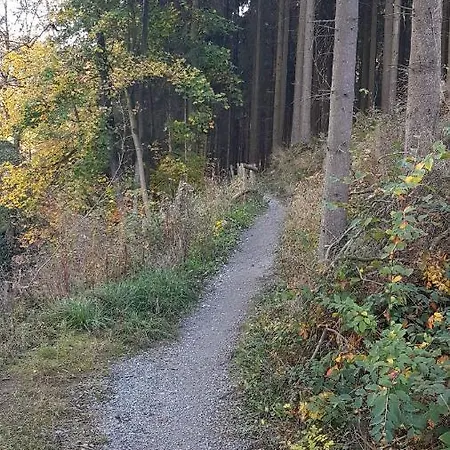 Διαμέρισμα Mueller