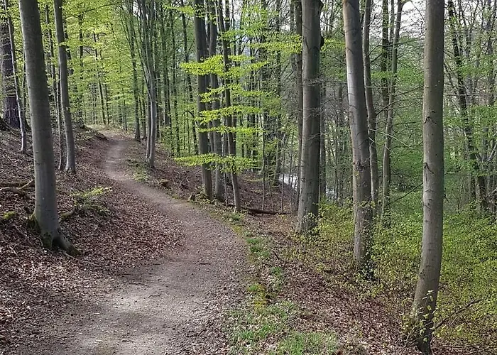 Apartamento Müller Bestwig